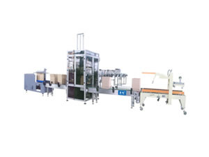 Automatic Carton Packing System